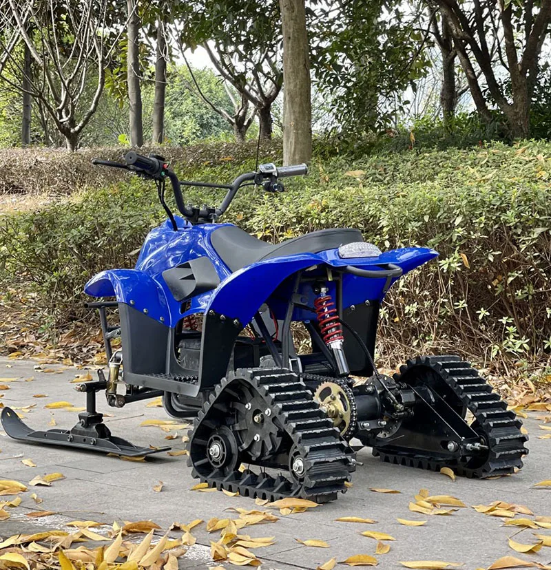 Moto de nieve móvil más nueva de la vespa de la nieve del precio barato para la venta - imagen 5