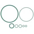 O ring Replacement