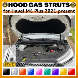 Puntales de capó amortiguadores gas Haval M6 Plus 2021-presente