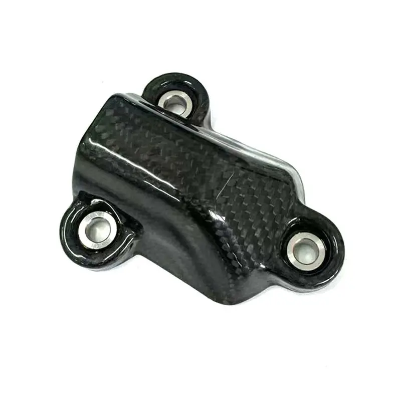 Cubierta motor en fibra de carbono BMW S1000RR/S1000R/S1000XR
