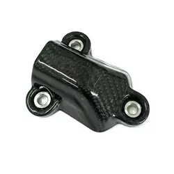 Cubierta motor en fibra de carbono BMW S1000RR/S1000R/S1000XR