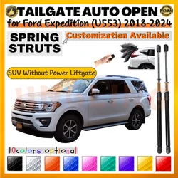 Puntal de maletero con resorte Ford Expedition U553 2018-2024 amortiguador puerta trasera
