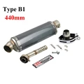 Type B1