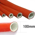 100 mm