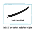 Roof Glossy Black