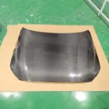 Wet Carbon fiber3