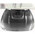 Carbon Fiber