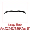 Glossy Black