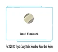 Roof Unpainted