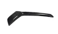 Carbon Fiber