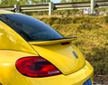 Yellow with black