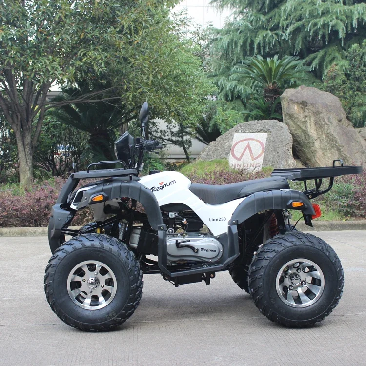GY6 China ATV arranque eléctrico 4 tiempos Mini ATV Quad Bike 150CC/200CC - imagen 3
