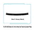 Roof Glossy Black