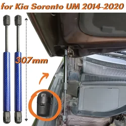 Amortiguadores de capó de fibra de carbono Kia Sorento UM 2014-2020