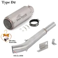 Type D2