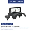 YS1-AMD