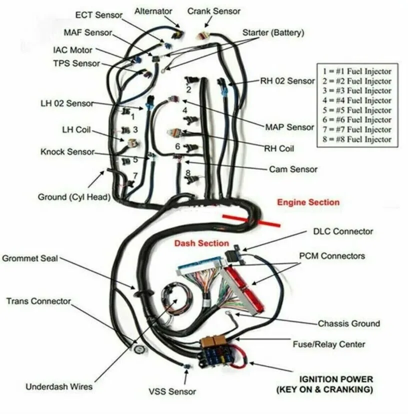 Arnés de cableado LS1 DBC para V8 4.8, 5.3 y 6.0 con T56 - imagen 5