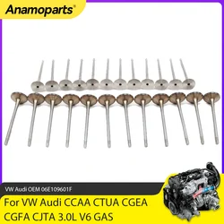 CCAA Juego válvulas admisión escape 3.0 V6 gasolina VW Touareg A4-A8