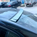 Roof Unpainted
