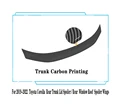 Trunk Carbon Look