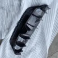 rear lip