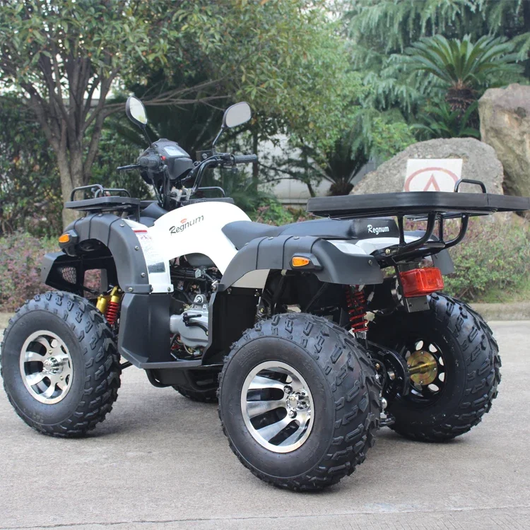 GY6 China ATV arranque eléctrico 4 tiempos Mini ATV Quad Bike 150CC/200CC - imagen 4