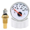 GaugeXSensor WS