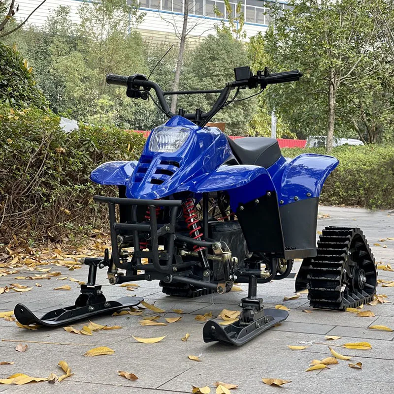 Moto de nieve móvil más nueva de la vespa de la nieve del precio barato para la venta - imagen 2