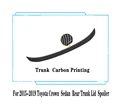 Trunk Carbon Look