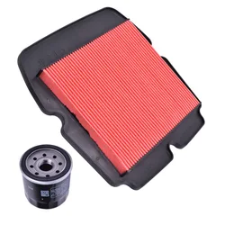 17210-MCA-003 Filtro de aire Honda Gold Wing GL1800B F6B