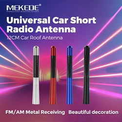 MEKEDE Antena de techo AM/FM fibra de carbono 12cm universal