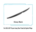 Trunk Glossy Black