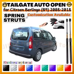 Puntales de maletero Citroën Berlingo B9 Van 2008-2018