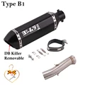 Type B1
