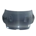 Carbon Fiber Hood