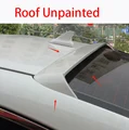 Roof Unpainted