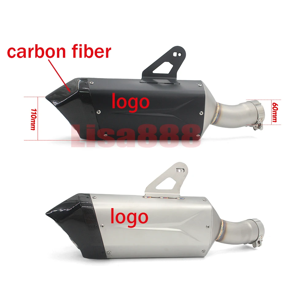 Escape fibra carbono 60mm silenciador doble-agujero BMW R1300GS 2024-2025 - imagen 2