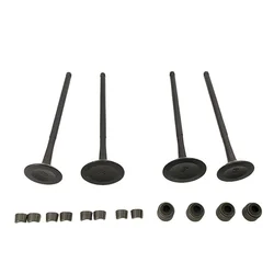 Kit válvulas ZS177MM Zongshen NC250 para Kayo T6 BSE RX3