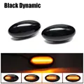 Dynamic Black