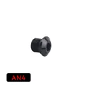 AN4