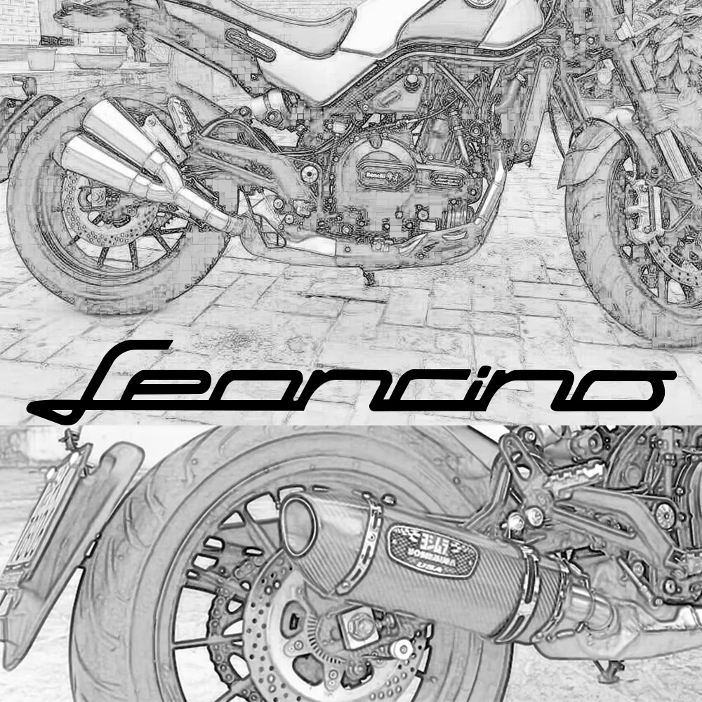 Tubo intermedio escape inox 51 mm – Benelli Leoncino 500 - imagen 5