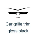 grille trim black