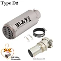 Type D2