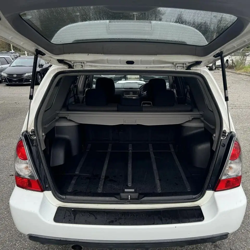 Amortiguadores portón trasero Subaru Forester SG 2002-2008