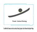 Trunk Carbon Look