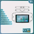 P1 (1GB 32GB)-Type A