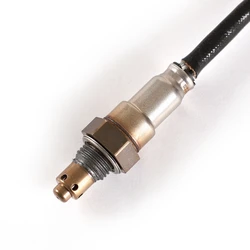 Sonda lambda compatible Tiger 900 Rally y Trident 660 2021-23