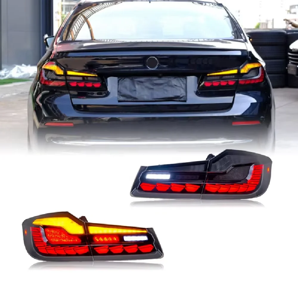 Auto-y Piloto trasero LED escala dragón para BMW Serie 5 G30 G38 - imagen 5