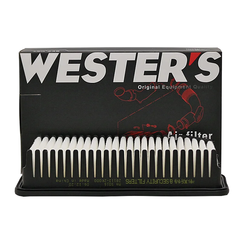Filtro carbón activado habitáculo Westguard Kia Pegas 1.4 MPI - imagen 2