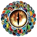 Eye
